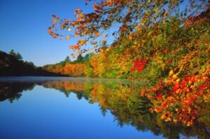 Heartland Cremation - Patricia J. Spurlin