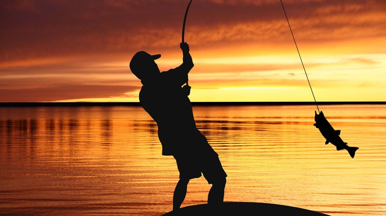 Sunset-fishing