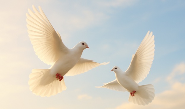 funeral homes in Overland Park, KS