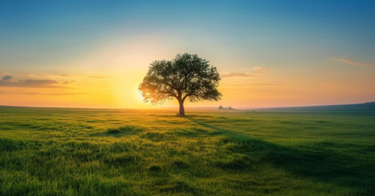 funeral homes Overland Park, KS