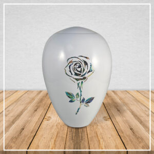 Shell Art- White Rose